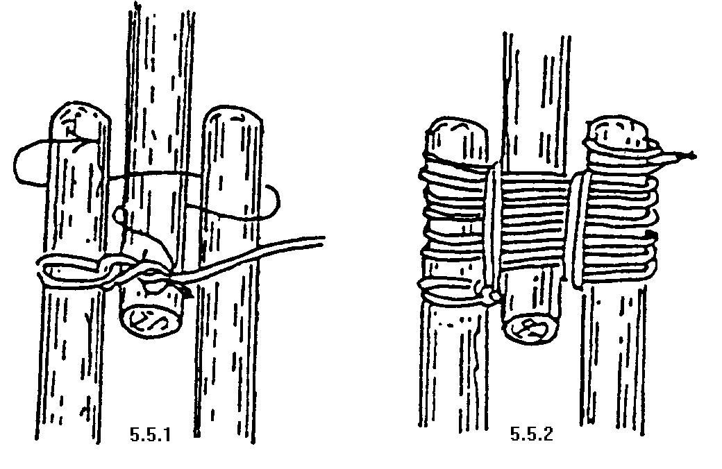 k29.jpeg (123401 bytes)
