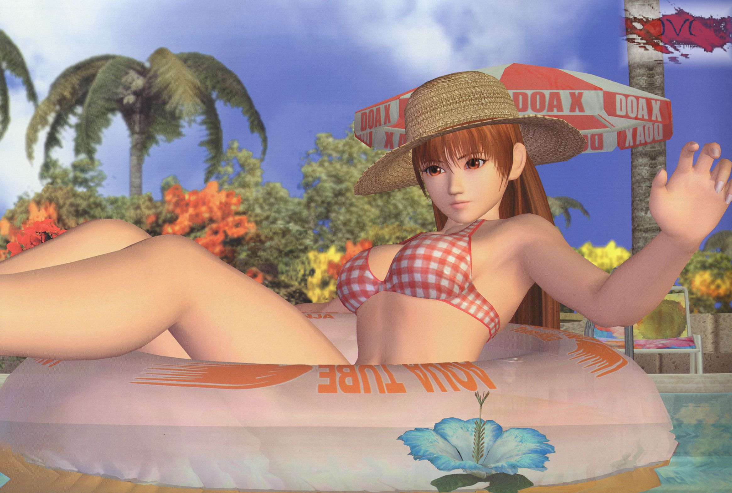 DOA_17.jpg