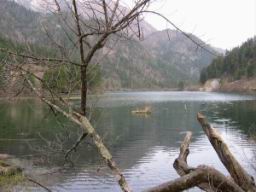 IMG_0007.JPG