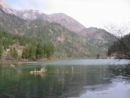 IMG_0009.JPG