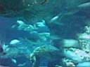24-06-04_1419.jpg