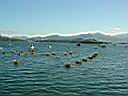 DSC02183.JPG