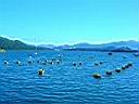 DSC02184.JPG