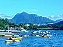 DSC02185.JPG