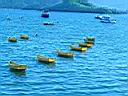 DSC02187.JPG