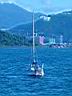 DSC02195.JPG