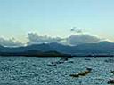 DSC02201.JPG