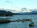 DSC02202.JPG