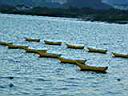 DSC02204.JPG
