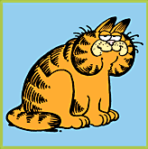 garfield in 1978