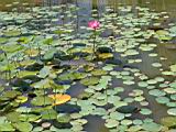 IMG_5828_s.jpg