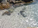 IMG_5837_s.jpg