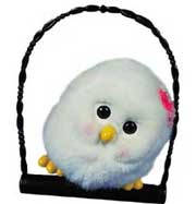 Birdy on a Perch