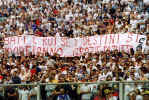 fiorentinaven06.jpg (57372 bytes)