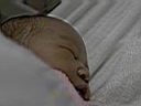 1m02.JPG