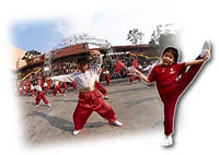 Cantonese Opera Appreciation Tour