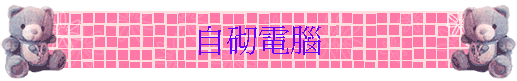 自砌電腦