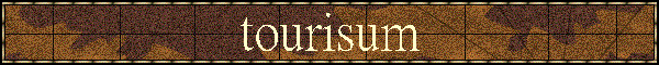 tourism