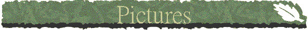 Pictures