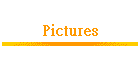 Pictures