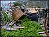 traditional_life_4.jpg