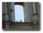 [Click to enlarge]