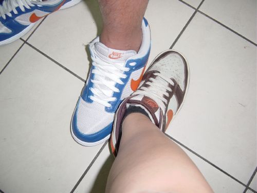 roger's } + my } << dunk low Vs dunk low >>