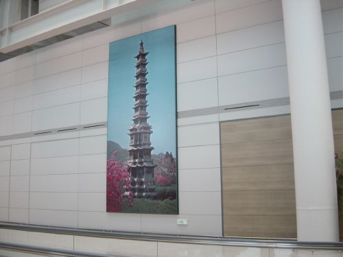 arrived Korea for Transit