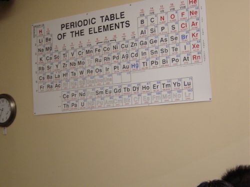 1st day of lecture! --- the periodic table in the lecture hall!!!