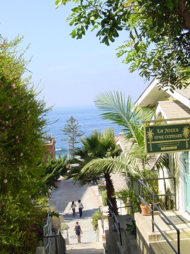we are going to La Jolla Cove!!!