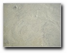 [Click to enlarge]