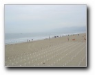 [Click to enlarge]