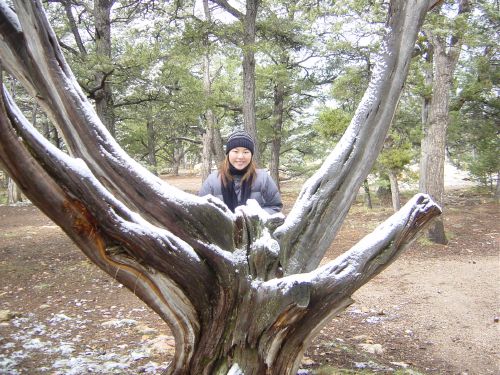 look at the tree!
