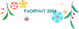 FoOtPrInT 2004