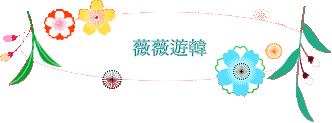 薇薇遊韓