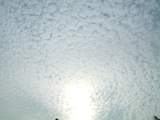 04041105.JPG