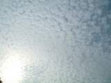 04041107.JPG