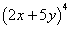 (2x+5y)^4