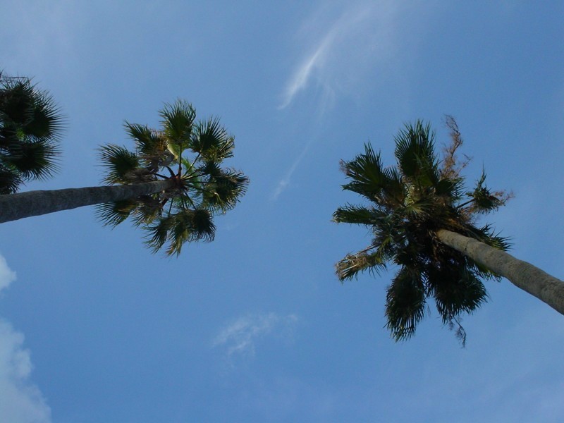 ../Images/105.jpg