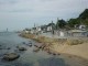Thumbs/tn_203.jpg