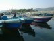 Thumbs/tn_209.jpg