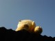 Thumbs/tn_215.jpg