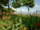 Thumbs/tn_509.jpg