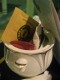 Thumbs/tn_IMG_1796.jpg