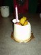 Thumbs/tn_DSC00774.jpg