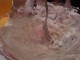 Thumbs/tn_DSC01020.jpg