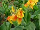 Thumbs/tn_img0006.jpg