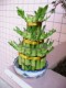 Thumbs/tn_img0069.jpg