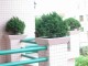 Thumbs/tn_img0071.jpg