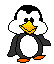 bird3.gif (2478 bytes)